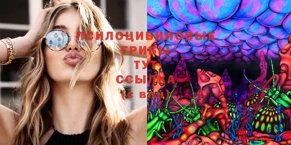 прущая мука Абаза