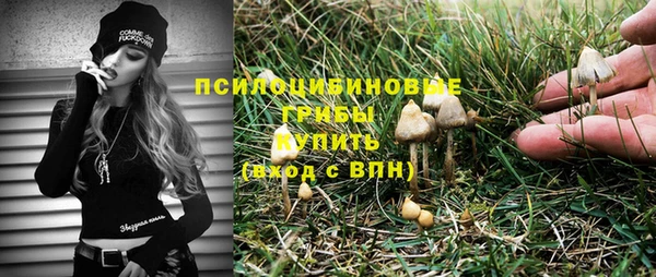 прущая мука Абаза