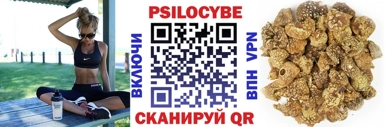 закладки  Рыльск  Галлюциногенные грибы MAGIC MUSHROOMS 